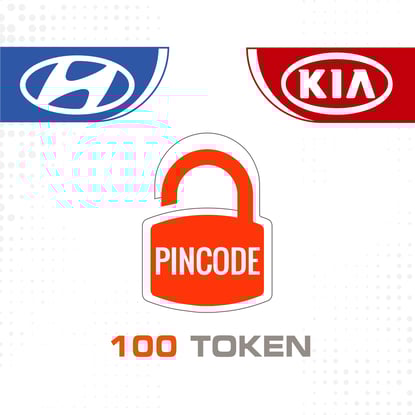 kia-hyundai-online-pincode-calculator-100-token