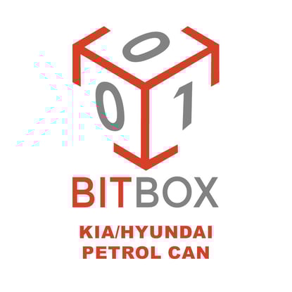 bitbox-kia-hyundai-petrol-can