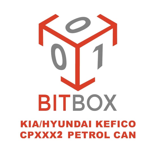 bitbox-kia-hyundai-kefico-cpxxx2-petrol-can
