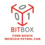 bitbox-ford-bosch-me-d-g-9-petrol-can