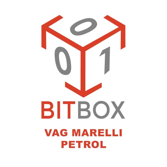 bitbox-vag-marelli-petrol