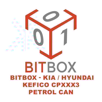 bitbox-kia-hyundai-kefico-cpxxx3-petrol-can