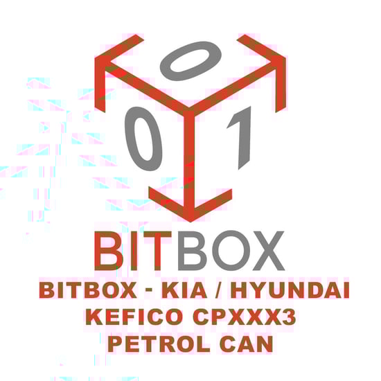 bitbox-kia-hyundai-kefico-cpxxx3-petrol-can