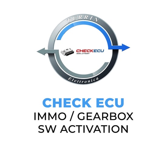 turrin-elettronica-check-ecu-immo-gearbox-software-activation