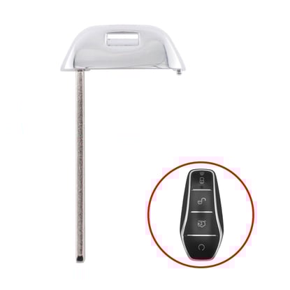 byd-2024-smart-key-blade