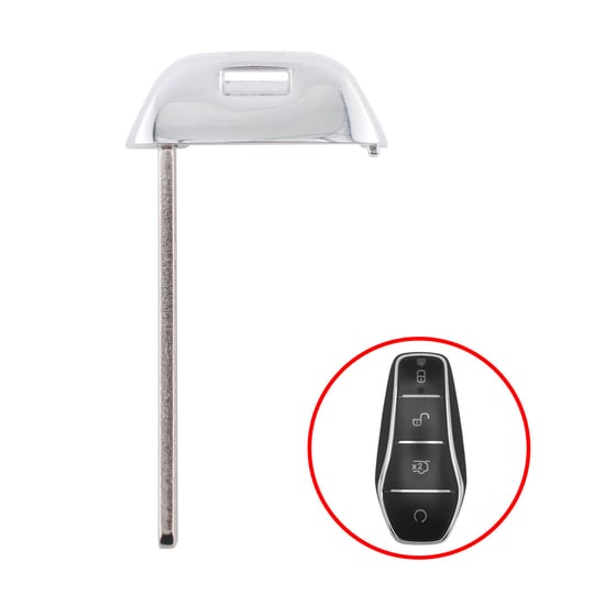 byd-2024-smart-key-blade