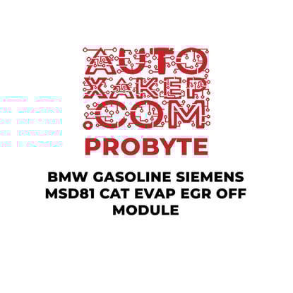 probyte-bmw-gasoline-siemens-msd81-cat-evap-egr-off-module