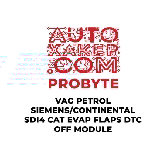 probyte-vag-petrol-siemenscontinental-sdi4-cat-evap-flaps-dtc-off-module
