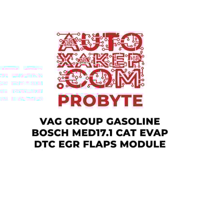 probyte-vag-group-gasoline-bosch-med171-cat-evap-dtc-egr-flaps-module