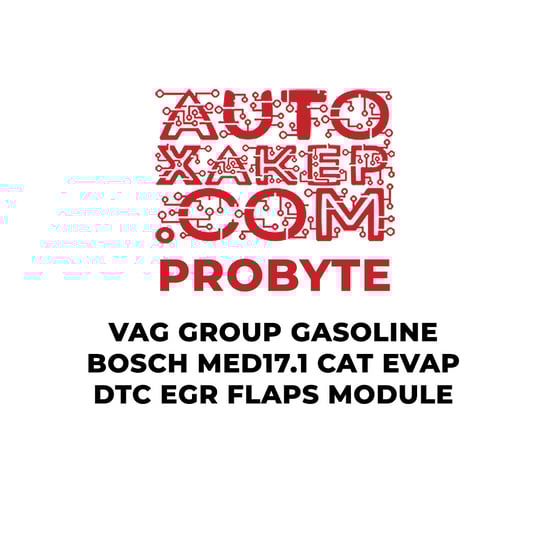 probyte-vag-group-gasoline-bosch-med171-cat-evap-dtc-egr-flaps-module