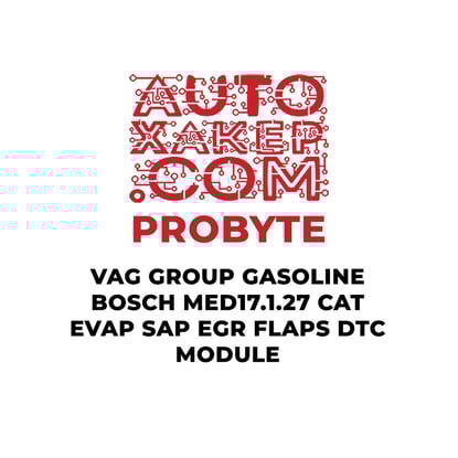 probyte-vag-group-gasoline-bosch-med17127-cat-evap-sap-egr-flaps-dtc-module