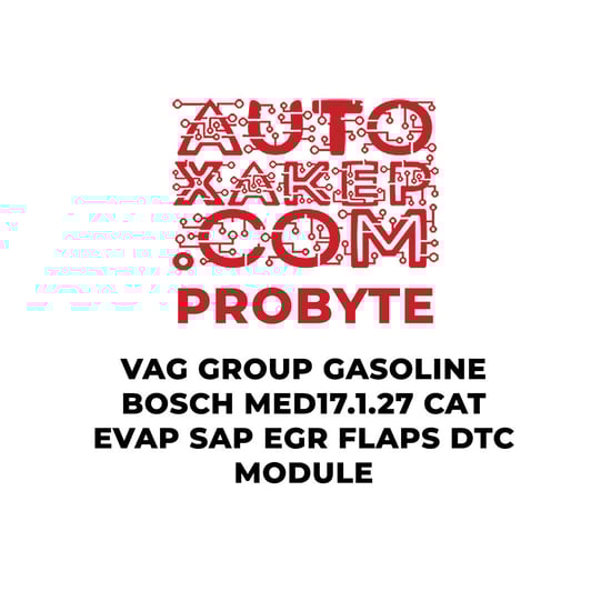 probyte-vag-group-gasoline-bosch-med17127-cat-evap-sap-egr-flaps-dtc-module