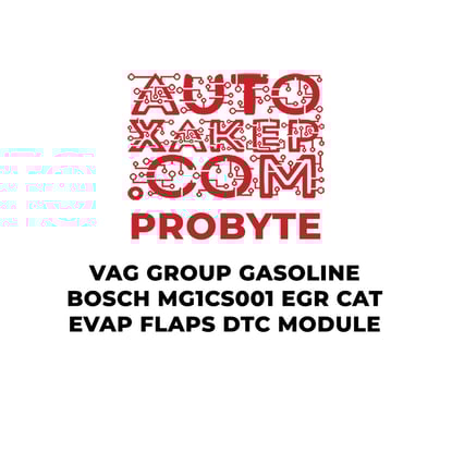 probyte-vag-group-gasoline-bosch-mg1cs001-egr-cat-evap-flaps-dtc-module