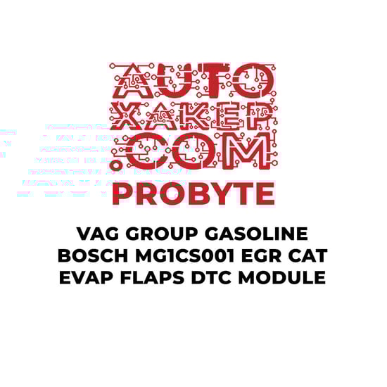 probyte-vag-group-gasoline-bosch-mg1cs001-egr-cat-evap-flaps-dtc-module
