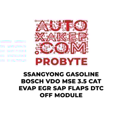 probyte-ssangyong-gasoline-bosch-vdo-mse-35-cat-evap-egr-sap-flaps-dtc-off-module