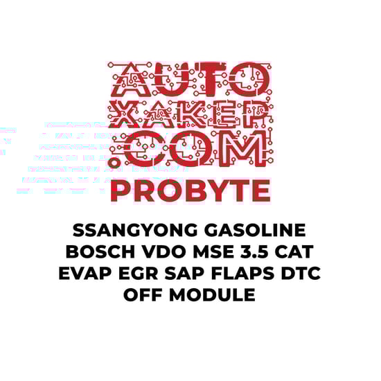 probyte-ssangyong-gasoline-bosch-vdo-mse-35-cat-evap-egr-sap-flaps-dtc-off-module