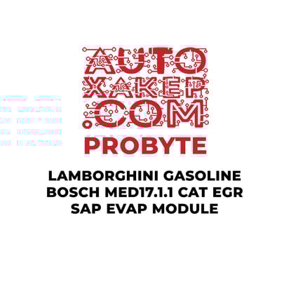 probyte-lamborghini-gasoline-bosch-med1711-cat-egr-sap-evap-module