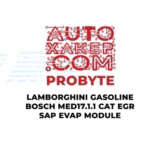 probyte-lamborghini-gasoline-bosch-med1711-cat-egr-sap-evap-module