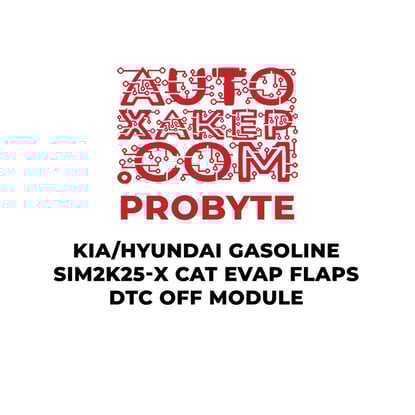probyte-kia-hyundai-gasoline-sim2k-25x-cat-evap-flaps-dtc-off-module