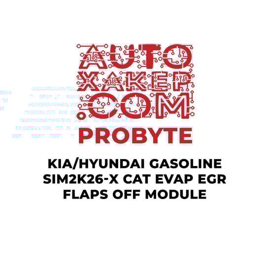 probyte-kia-hyundai-gasoline-sim2k-26x-cat-evap-egr-flaps-off-module