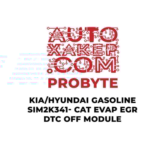 probyte-kia-hyundai-gasoline-sim2k-341-cat-evap-egr-dtc-off-module