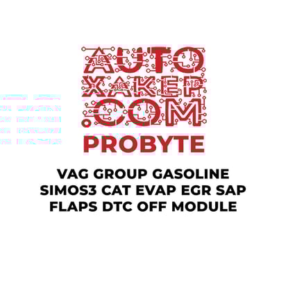 probyte-vag-group-gasoline-simos3-cat-evap-egr-sap-flaps-dtc-off-module