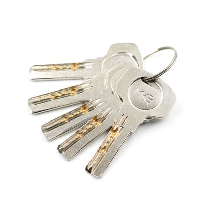 New-High-Quality-Best-Price-Pure-Brass-Cylinder-with-5-pcs-Computer-Keys,-PB-Size-70mm---Emirates-Keys
