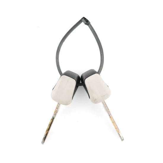 New-Aftermarket-Iveco-EuroCargo-I-III-Eurostar-EuroTech-MP--EuroTrakker-Ignition-Lock-Pin-2+2---Compatible-Part-Number:-4837683---Emirates-Keys