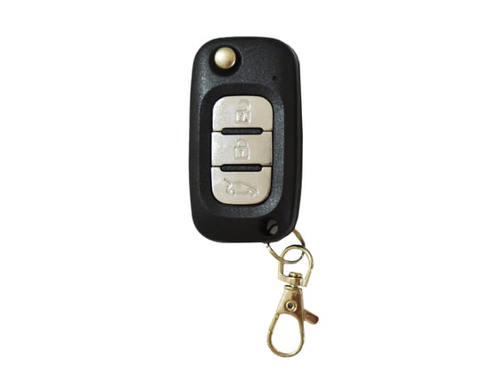 Picture of Keyless Entry System For REN Flip 3 Buttons Model RN122