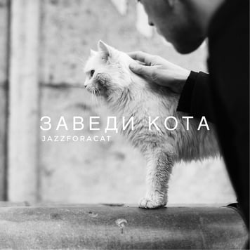 JAZZFORACAT – Заведи кота
