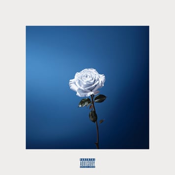 blumae – molly