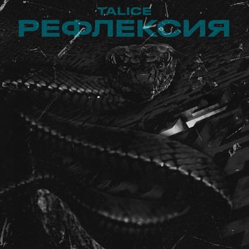 TALICE – Рефлексия