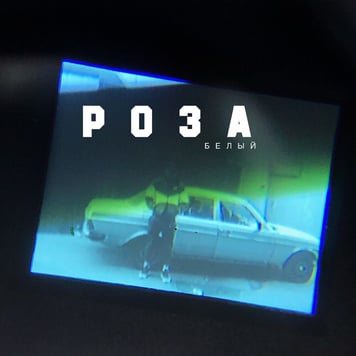 Роза – Белый