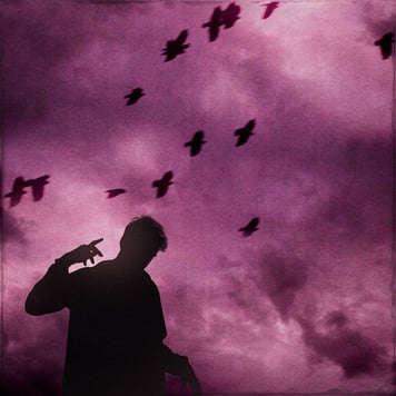 postluv – Нехай летять