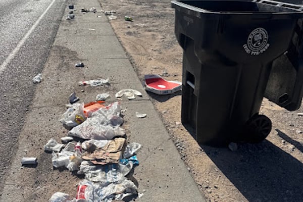 EL PASO DISPOSAL