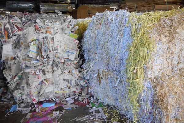 Birch Recycling