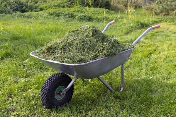 Clean Wood Recycling