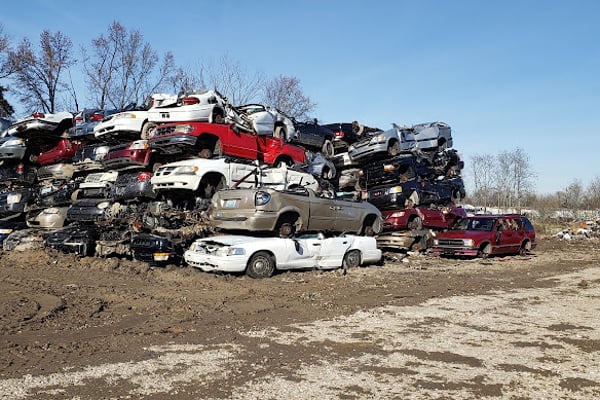 Wildcat Recycling