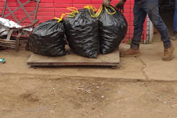 Cactus Recycling