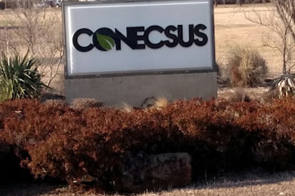 Conecsus LLC