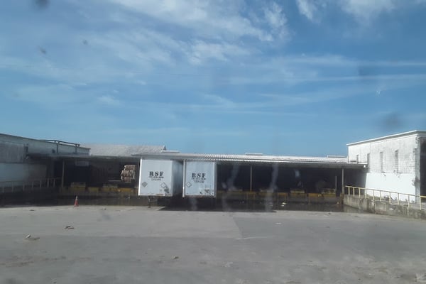 Recycling Services of Florida
