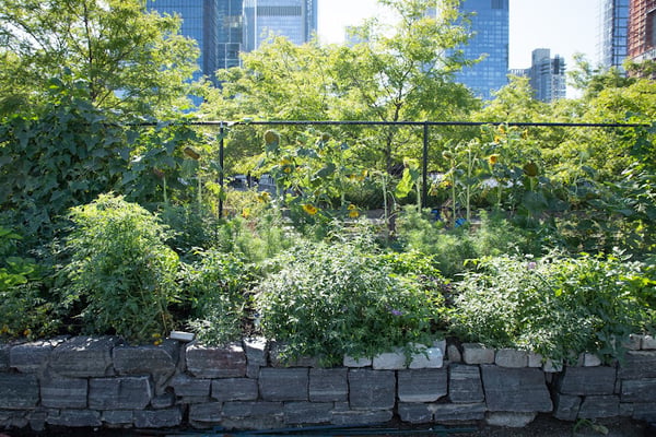 Hudson River Park Community Compost Center