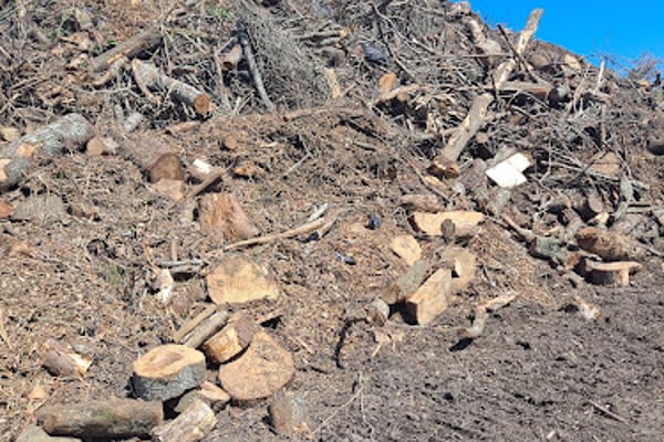 PACE Landfill