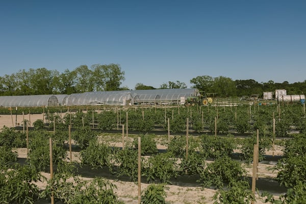 Wilmington Compost Company