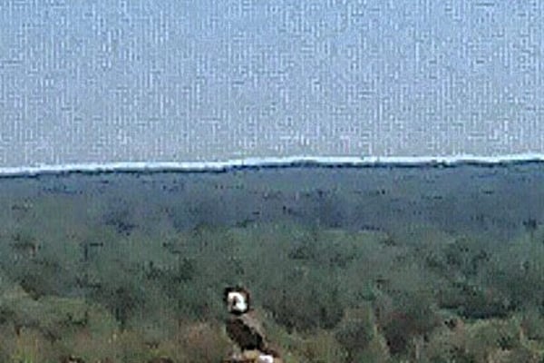 GFL Brent Run Landfill