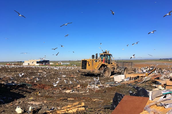 Kiefer Landfill