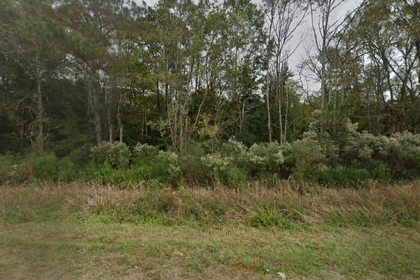 South Carolina Wood Waste Management