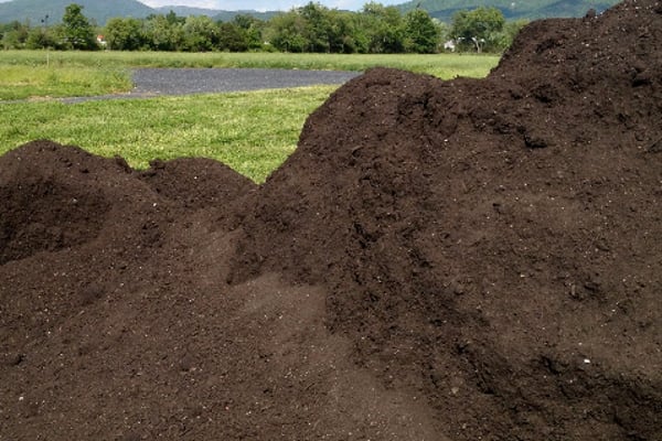 Black Bear Composting