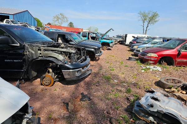 Clemens Salvage