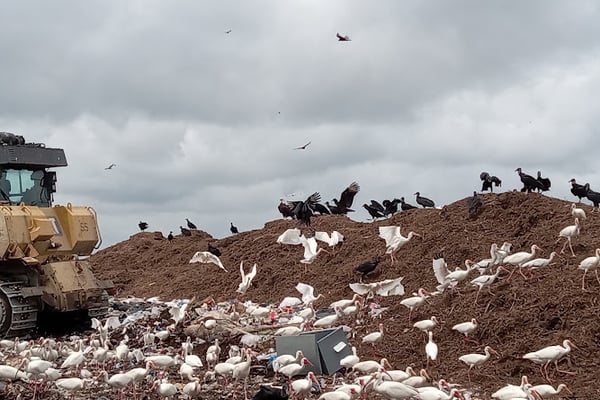 Brevard County Disposal Facility